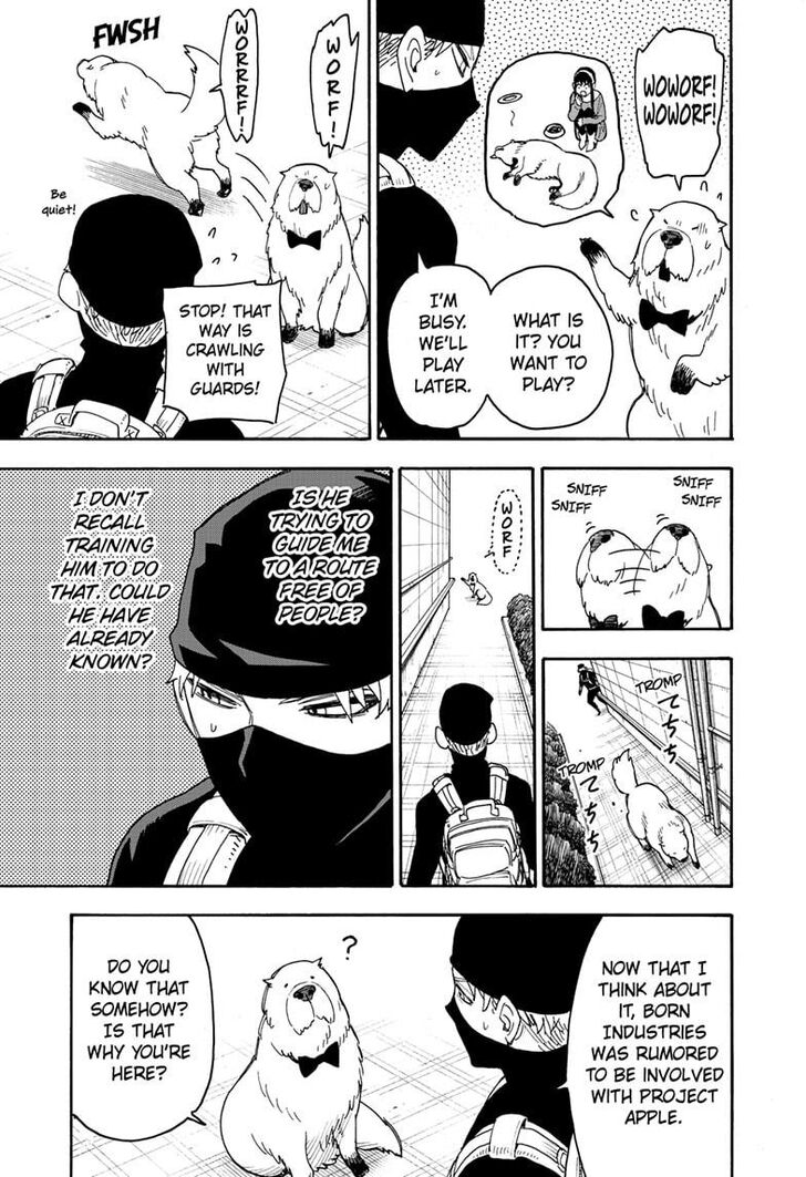 Spy x Family, Chapter 40 image 16